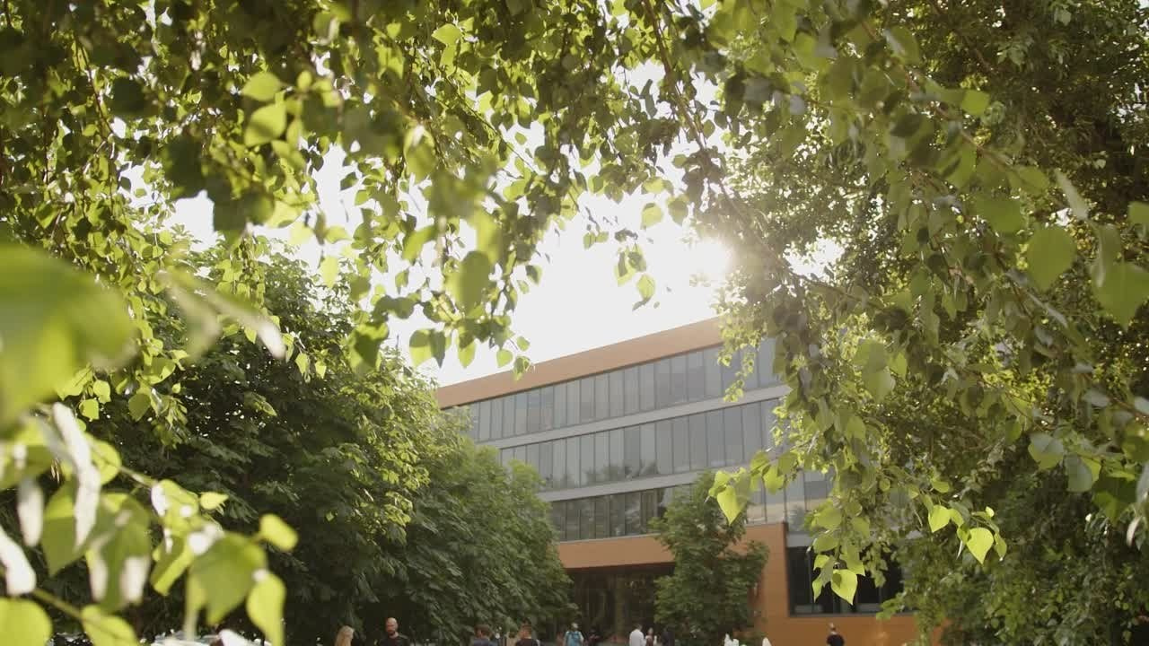 Рекламное. Дмитрий Игнатов