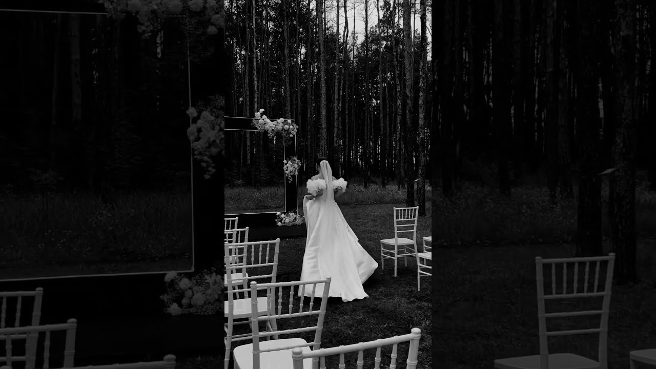 Reels. Фотограф и видеомейкер в Москве и во Владимире Арина Зорова