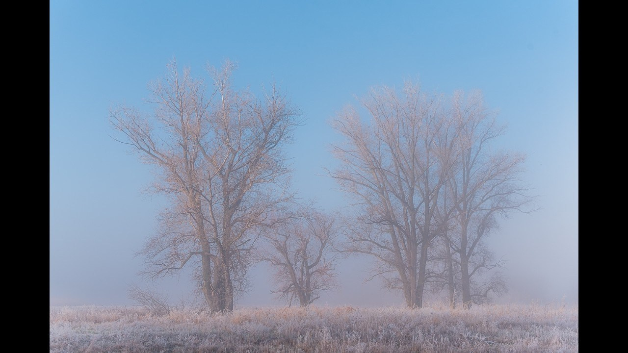 Фотографии утреннего тумана под Волжским. Фотограф в Волгограде и Волжском Александр Горбань