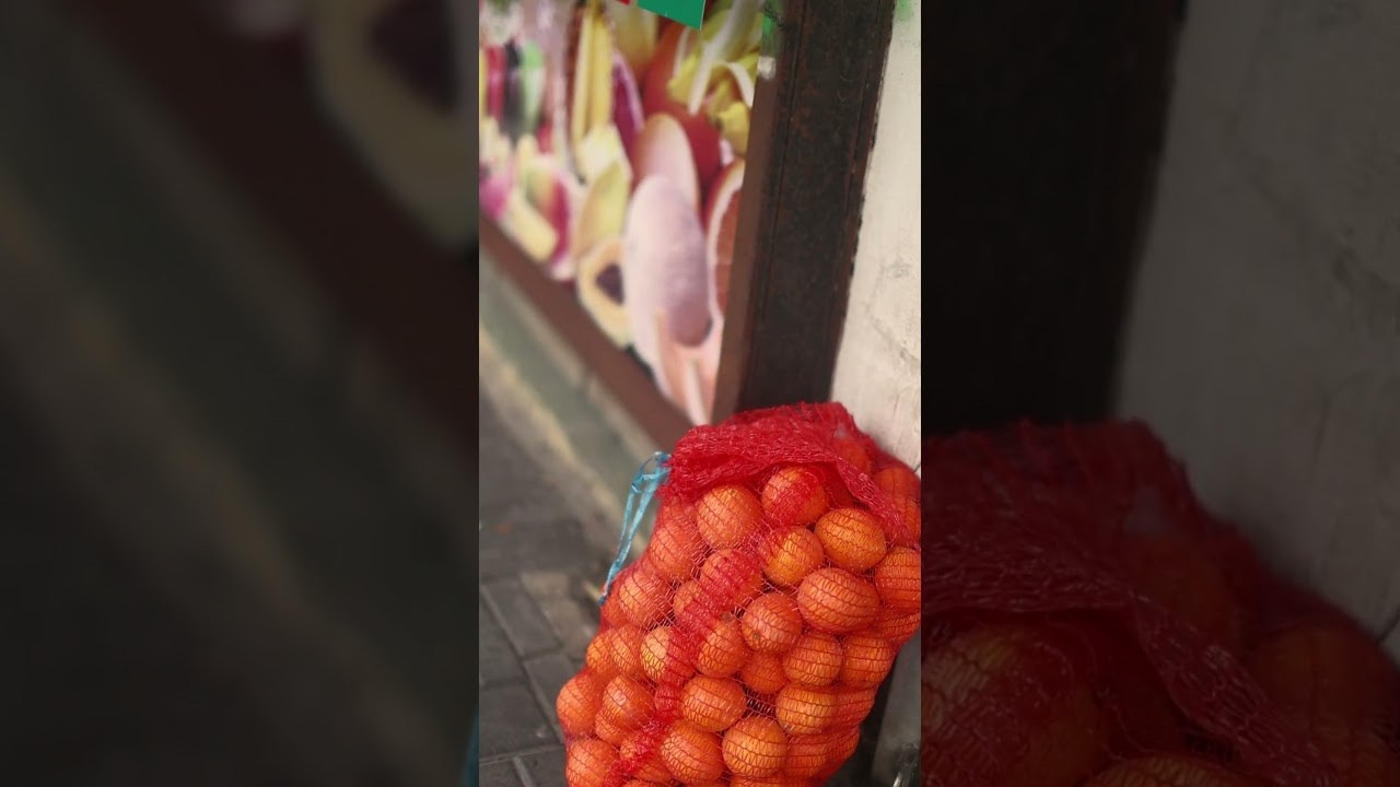 Видео. Детский и семейный фотограф Зоя Павкина