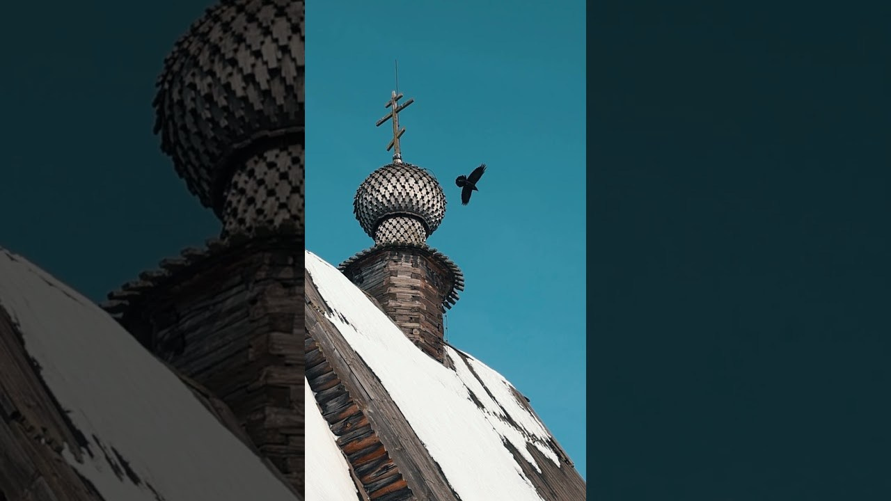 Видео. Детский и семейный фотограф Зоя Павкина