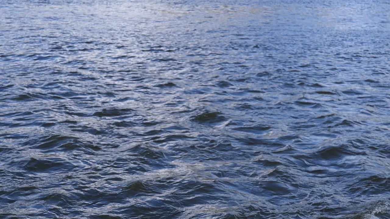 Видео. Фотограф Москва