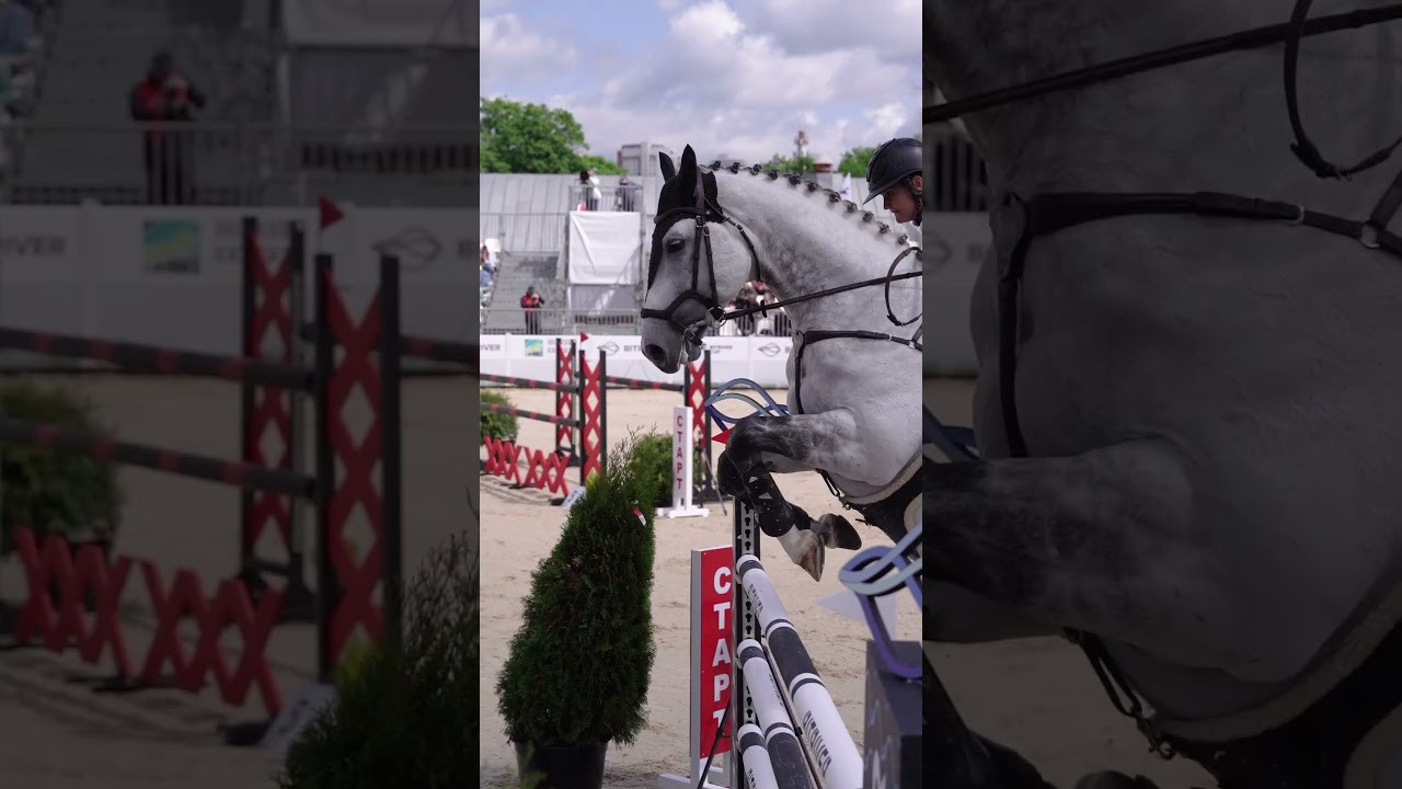 BitRiver Cup май 2023. Спортивный и репортажный фотограф в Москве и области Мари Панадеро