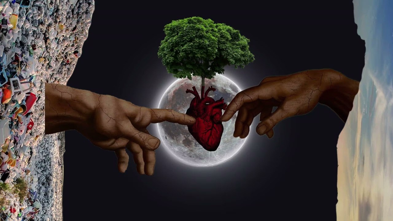 Анимация. Колентеева Наталья/фотограф