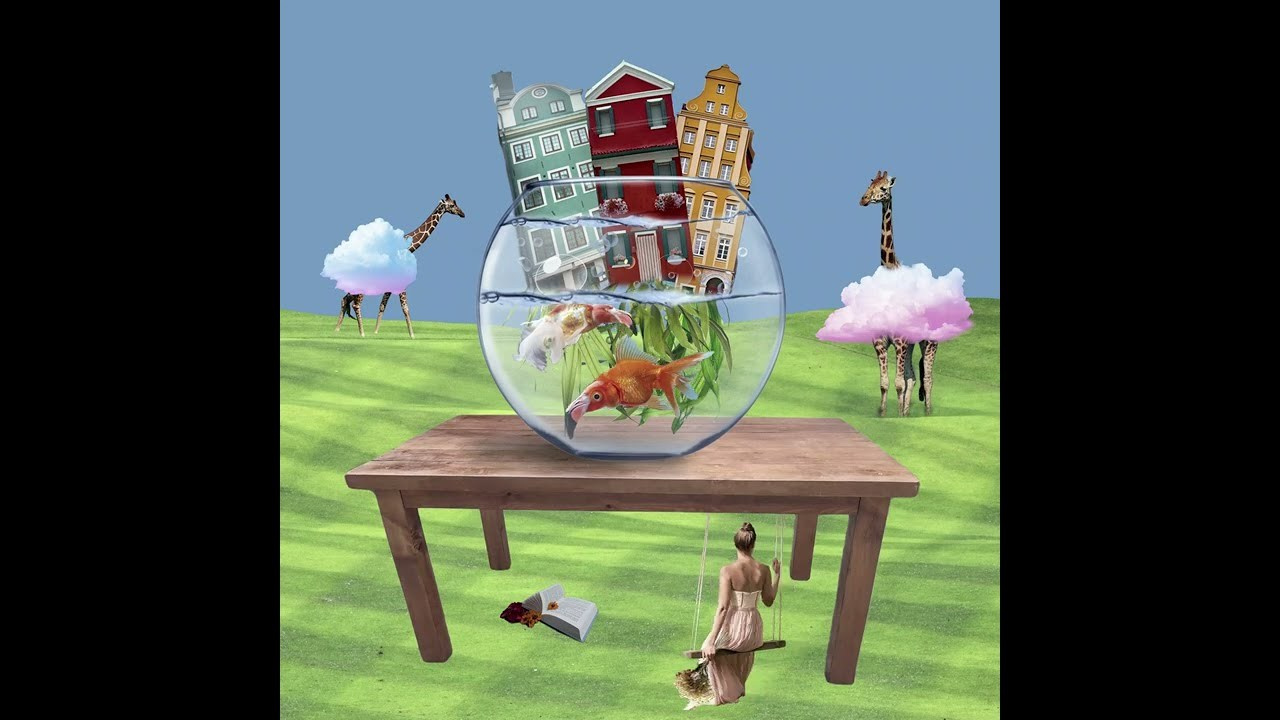 Анимация. Колентеева Наталья/фотограф