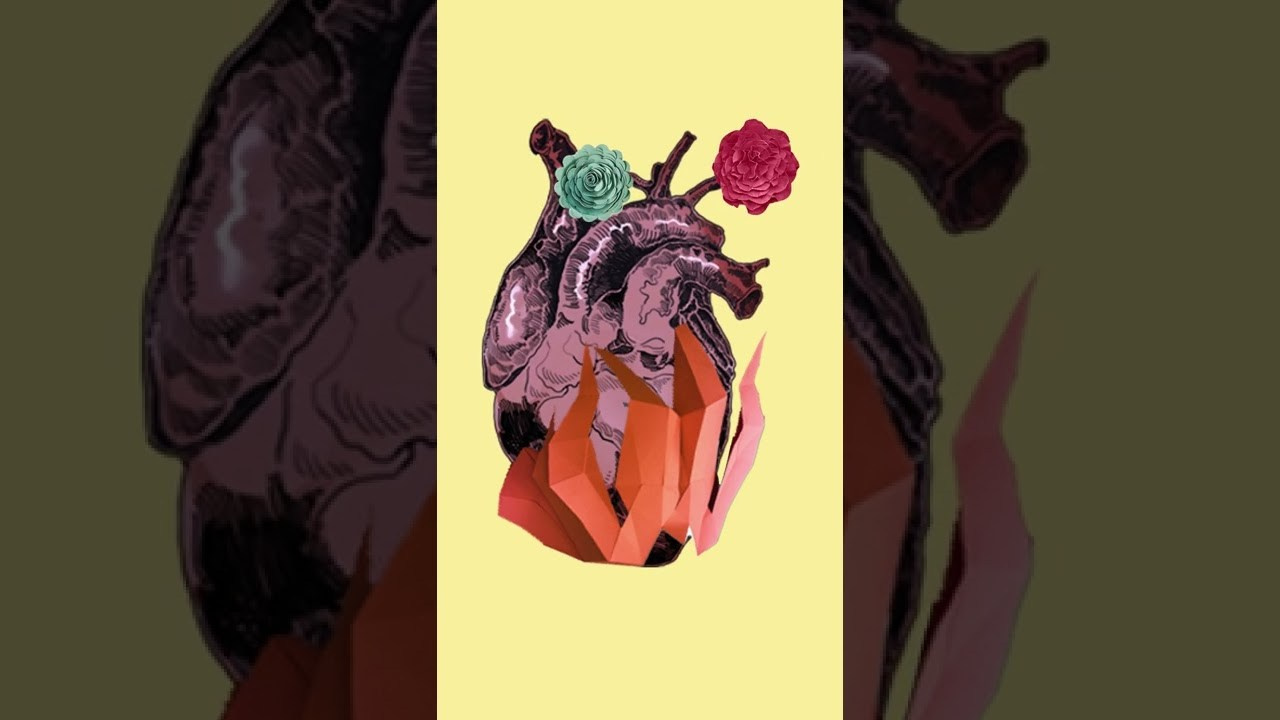 Анимация. Колентеева Наталья/фотограф