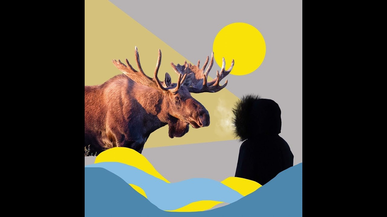 Анимация. Колентеева Наталья/фотограф