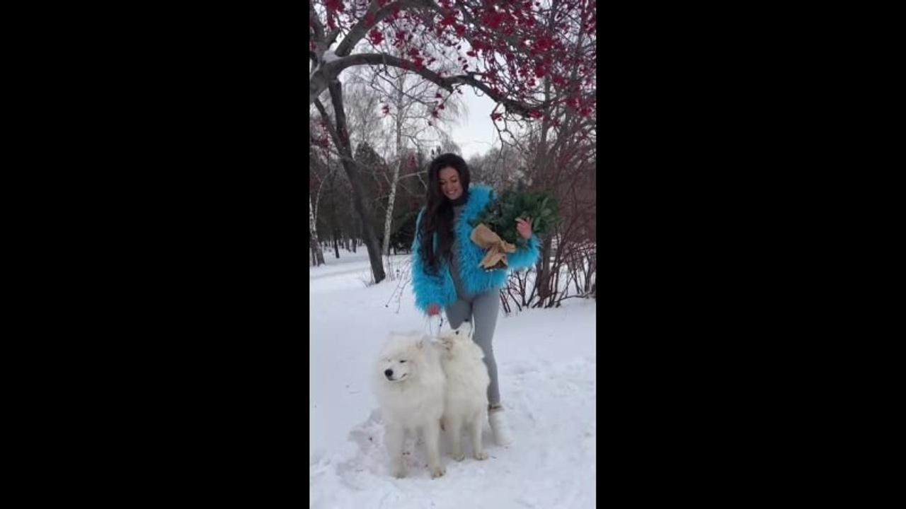 Юлия Квиткина фотограф. Самоед Новосибирск