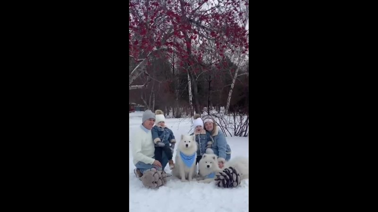 Юлия Квиткина фотограф. Самоед Новосибирск