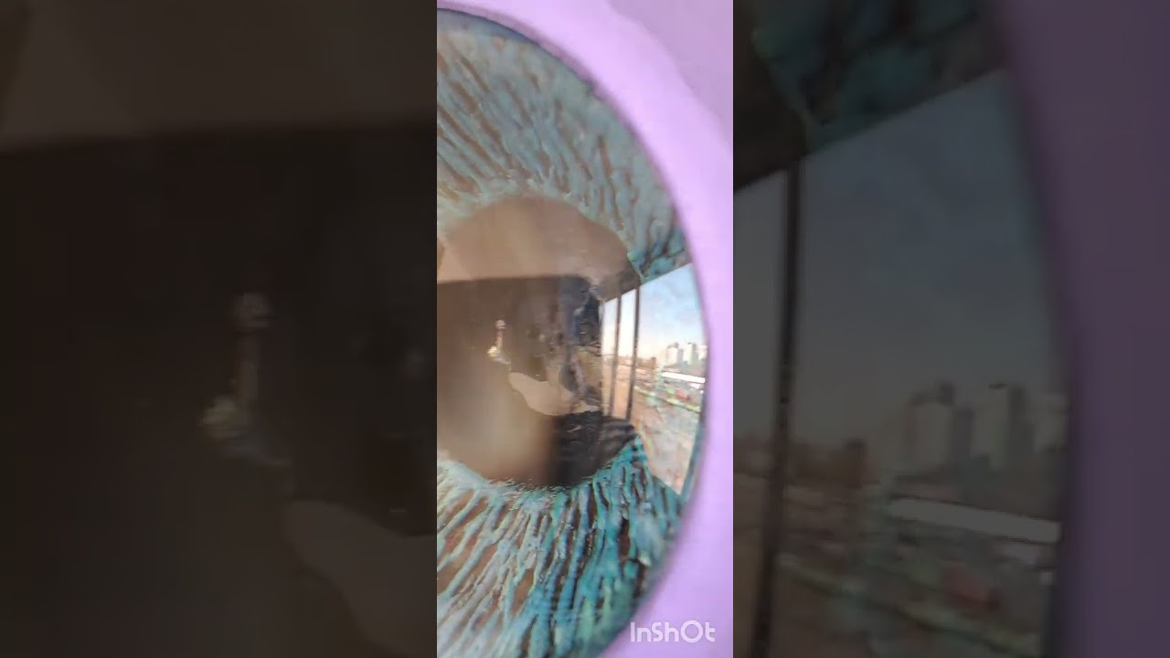 Гипнокот. Скульптор в Екатеринбурге Лобанов Сергей