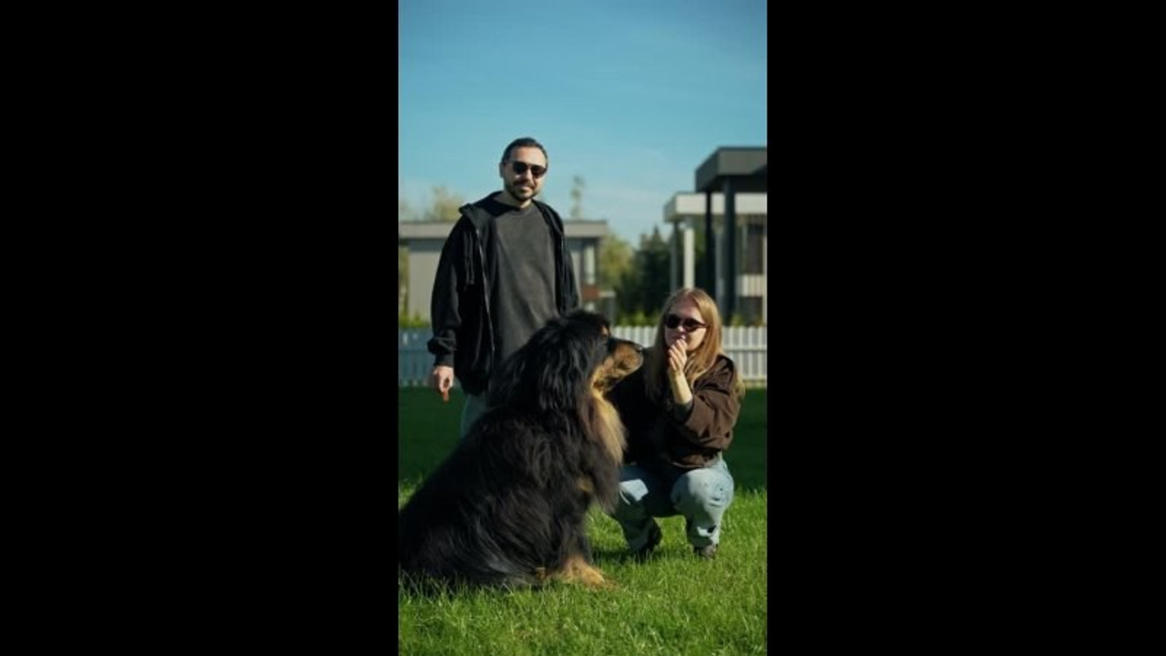 Reels / Shorts. Интерьерный и репортажный видеограф в Москве Василий Терзийский