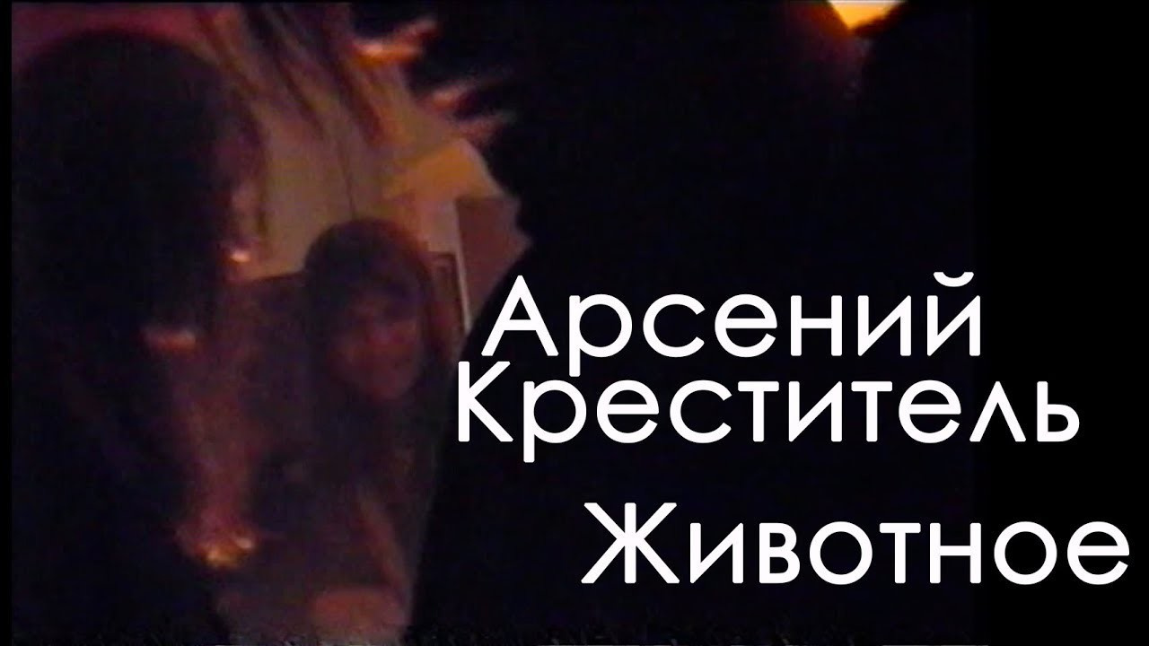 Videographer in Georgia, Turkey, Armenia. Photographer in Georgia UAE Russia Nekit Fox