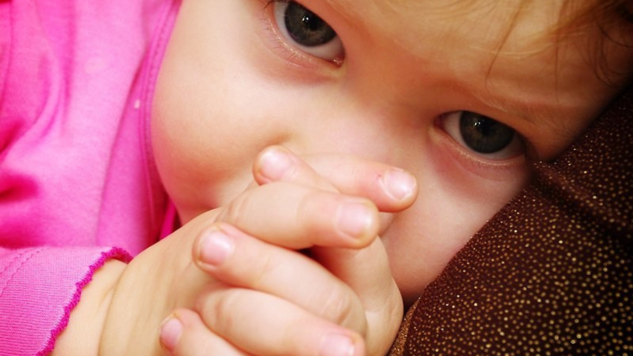 Детки. ФЕСС-ФОТО/ВИДЕО