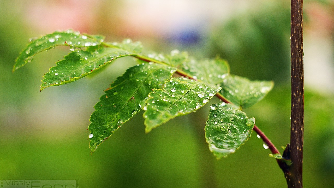 Пейзажи. ФЕСС-ФОТО/ВИДЕО