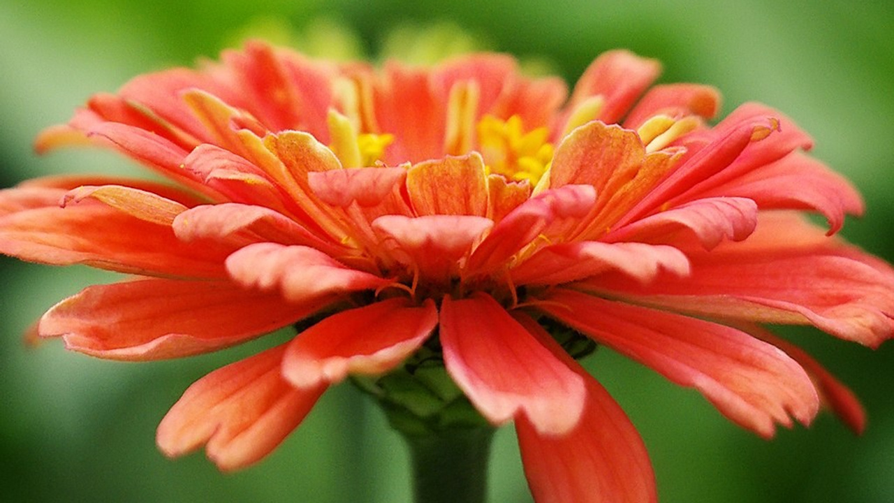 Пейзажи. ФЕСС-ФОТО/ВИДЕО