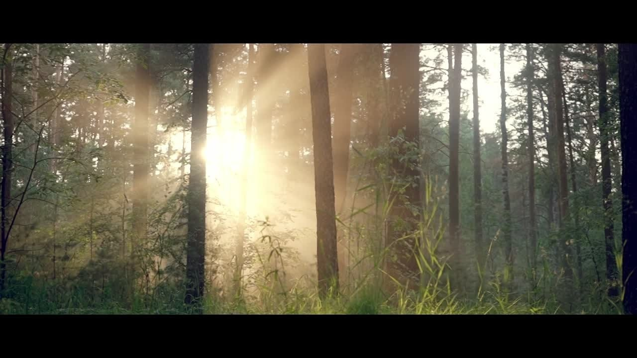 Видео. Портретный фотограф в Новосибирске Александр Головкин