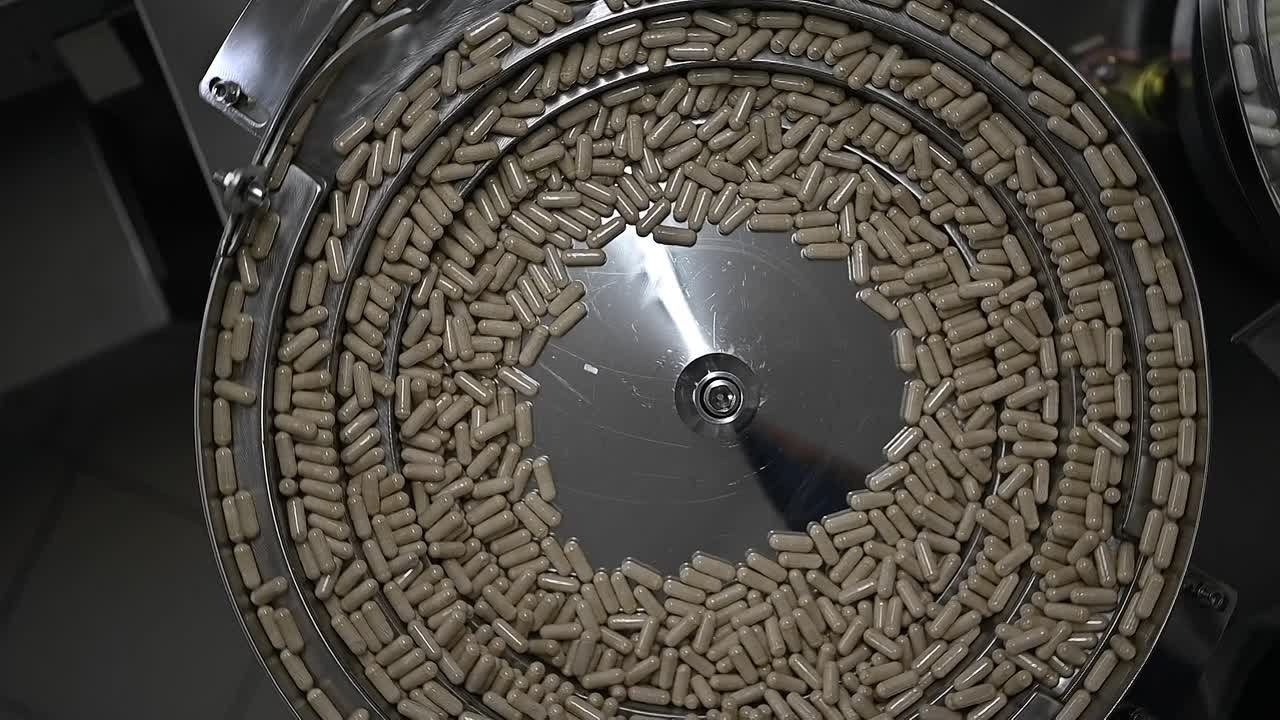 РИЛС. Фотограф и видеограф в Сочи, Краснодаре. Reels, портреты, события