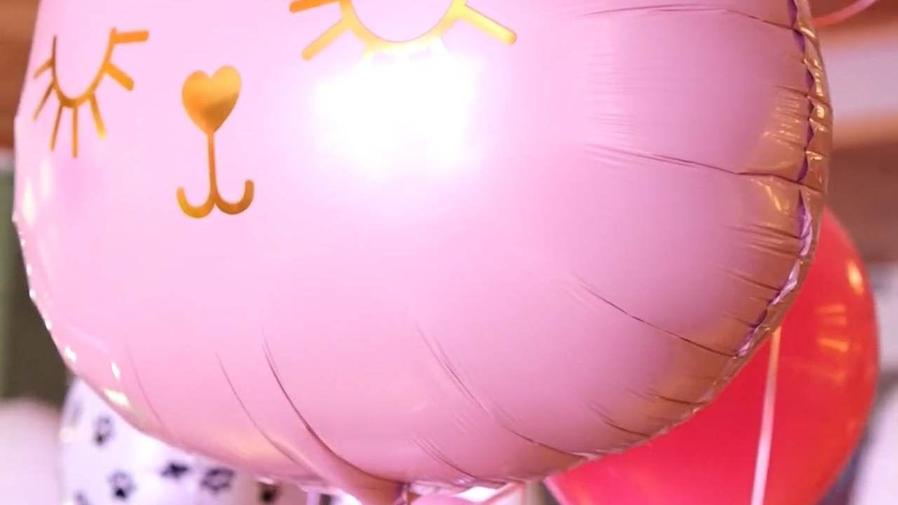 Видео. Свадебный и семейный фотограф