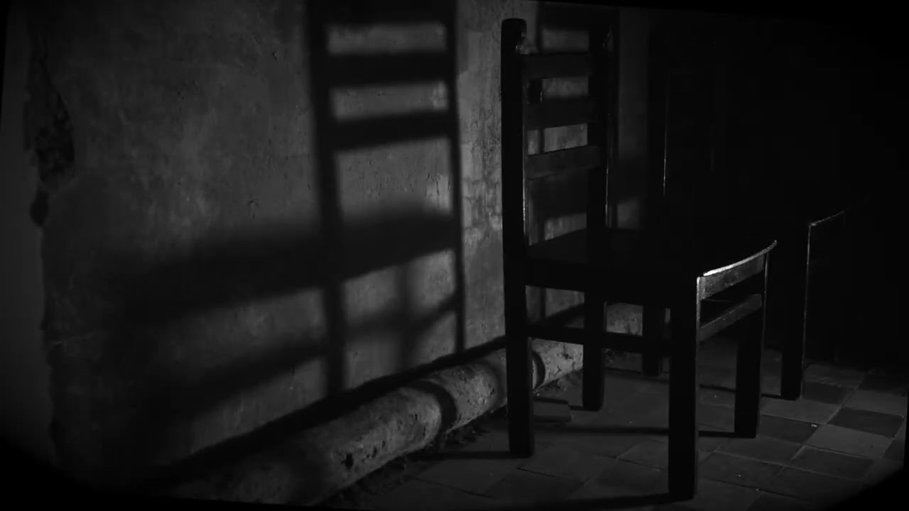 VideoART. Photographer Ксения Курбатова