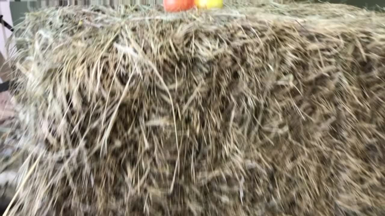 Видео бэкстейджи со съёмок. Фотограф в Ульяновске Ирина Аверьянова