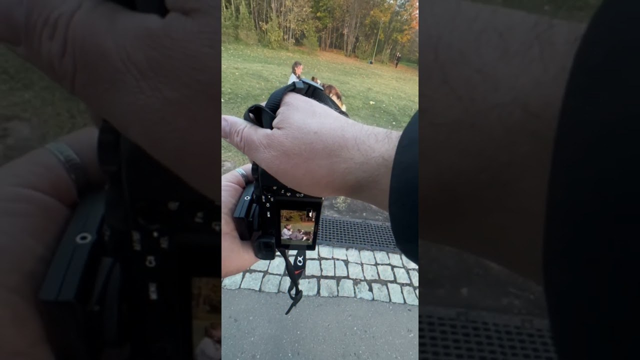 Девушка с собачкой в парке. Главная