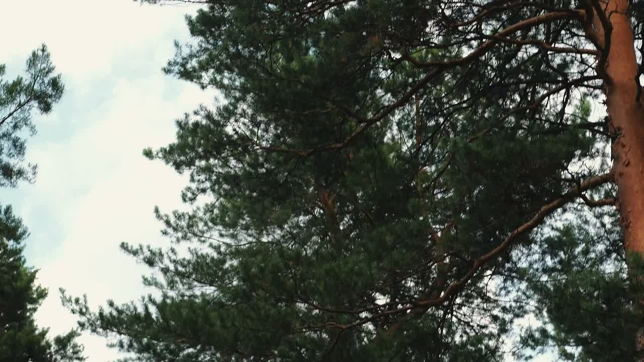 Станислав и Мария. Фотограф Ольга Огнева г. Новосибирск