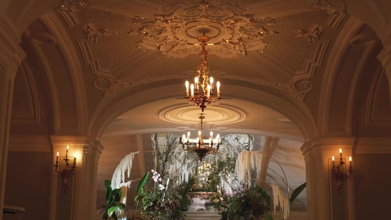 Мероприятия. Videographer Alsu Perhun