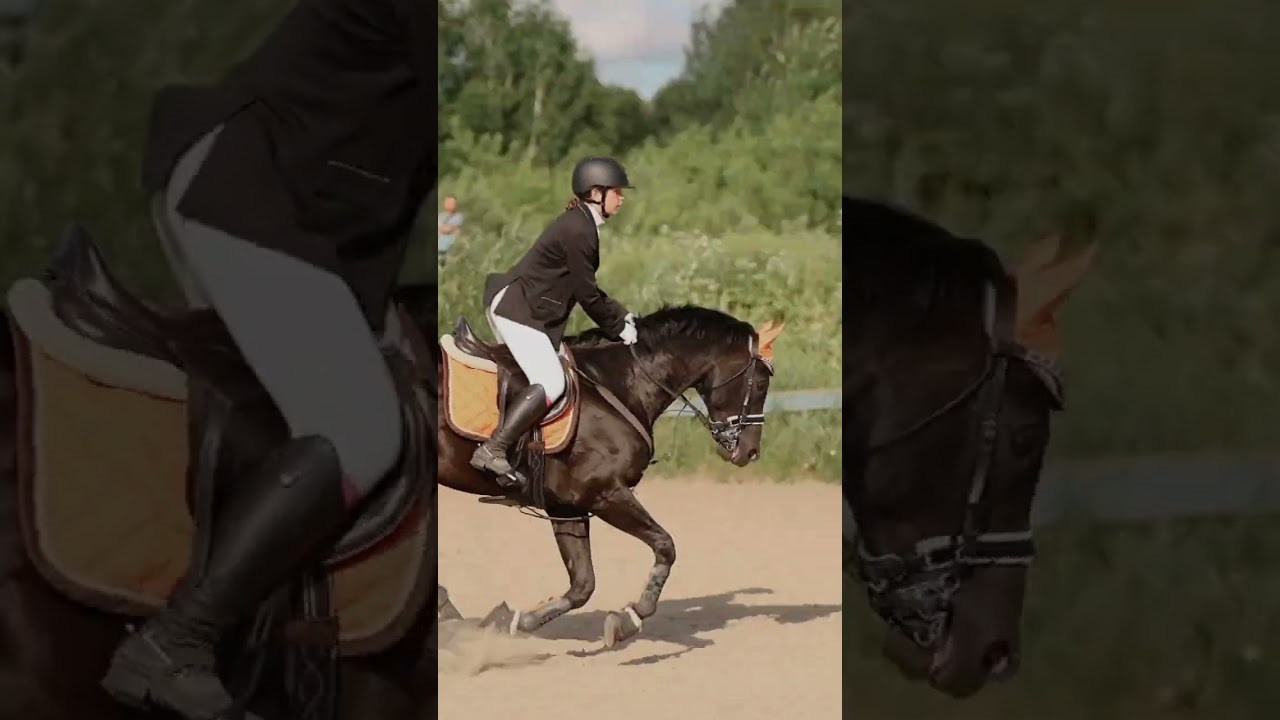 Видео. Конный фотограф Валынкина Лера