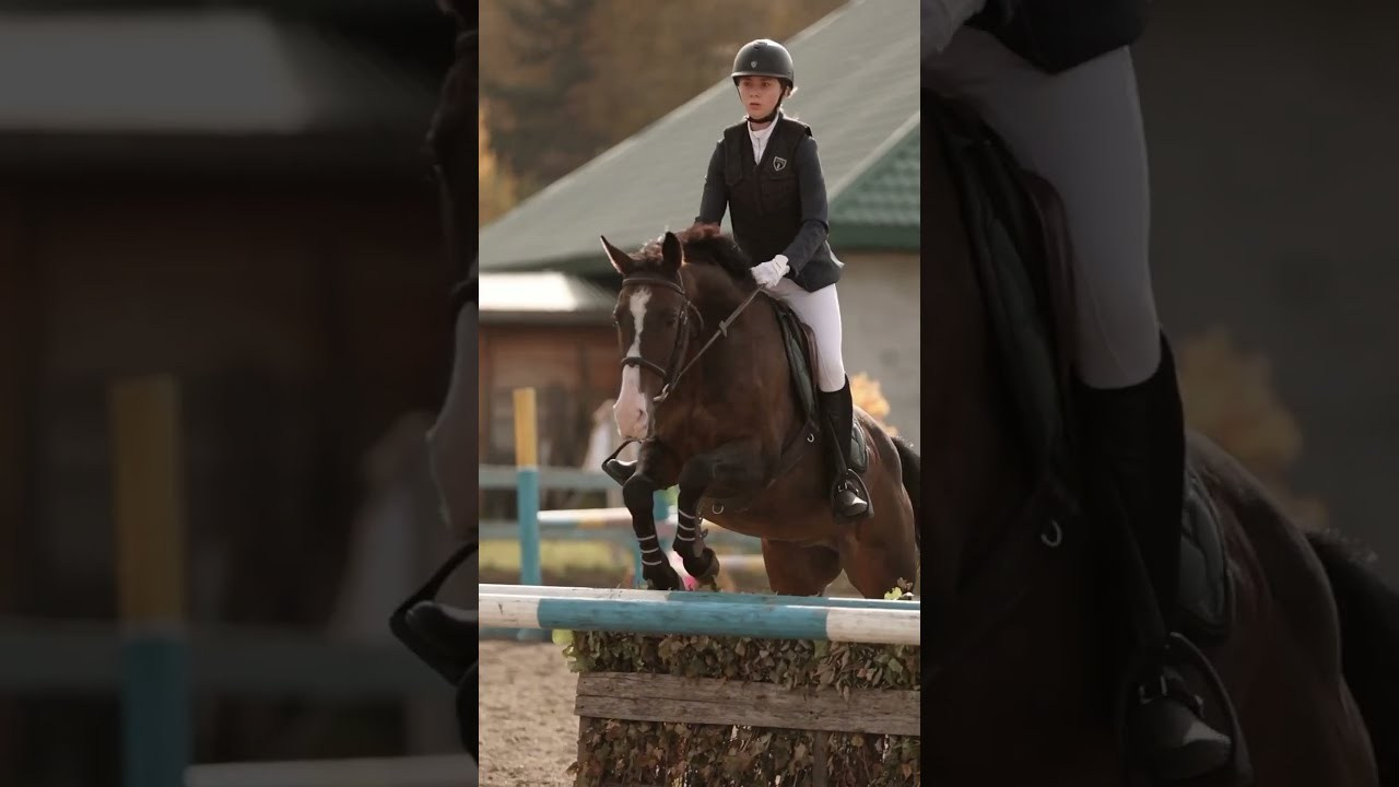 Видео. Конный фотограф Валынкина Лера