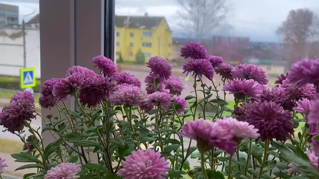 ВИДЕО. Арт-пространство|ТЕРРИТОРИЯ