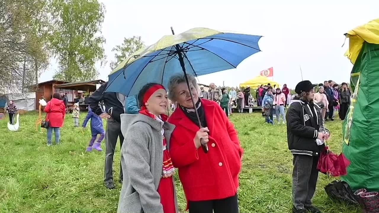 ВИДЕО. Арт-пространство|ТЕРРИТОРИЯ