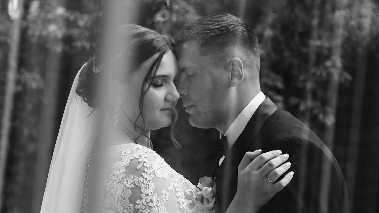 Свадебная видеосьемка молодоженов. Свадебный видеограф AlexFilms в Воронеже и по всей России