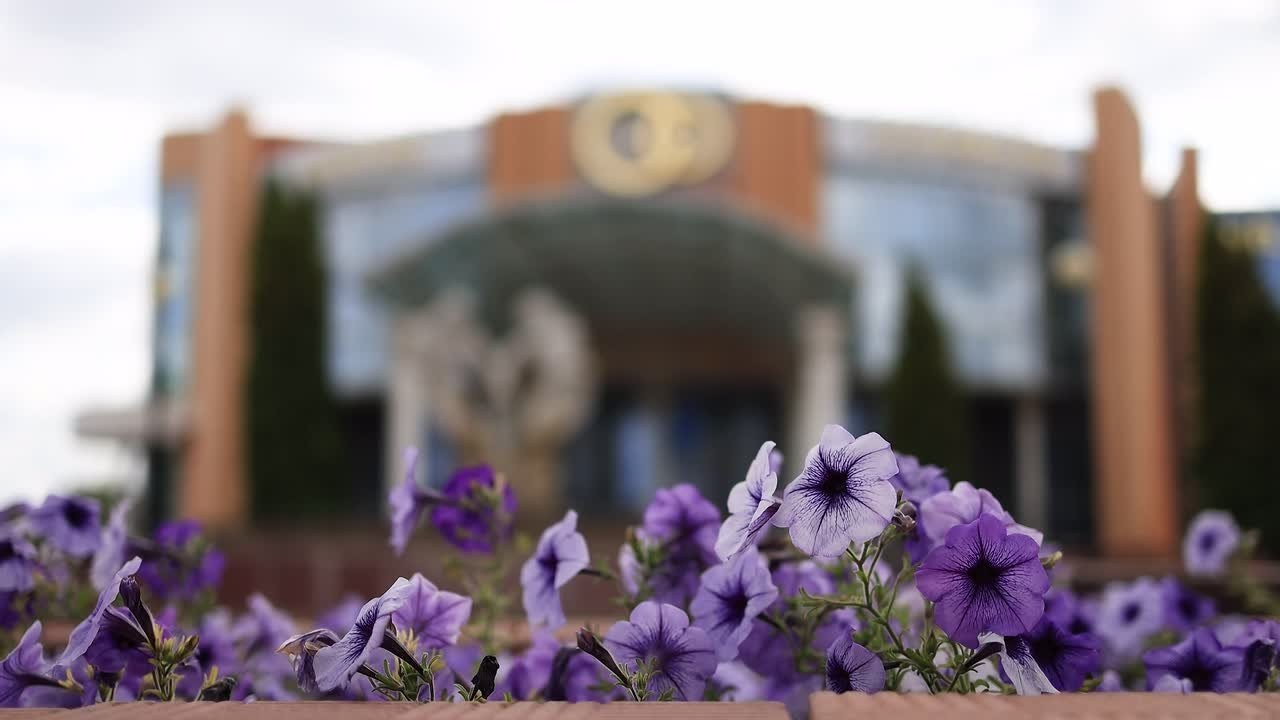 Здесь представленны видео с Загсов. Свадебный видеограф AlexFilms в Воронеже и по всей России