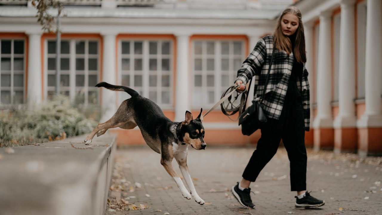 Elena and Molli. Real moments between people and their dogs