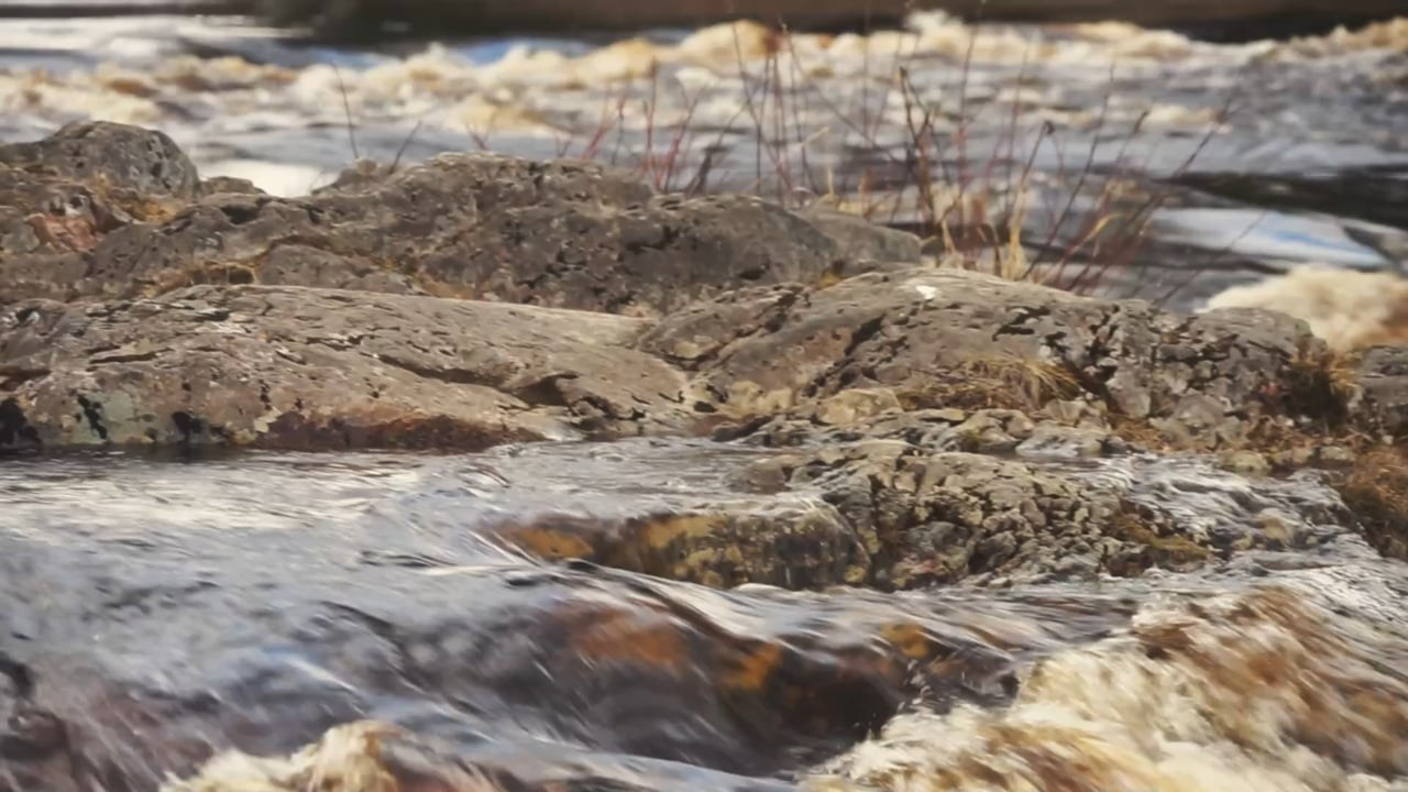 Видео. Свадебная и семейная фотография, видеосъёмка в Санкт-Петербурге — Александр Алексей