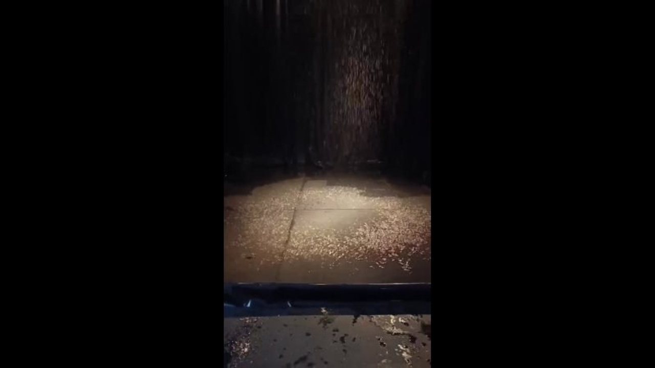 Зал «Аква» 100 м²