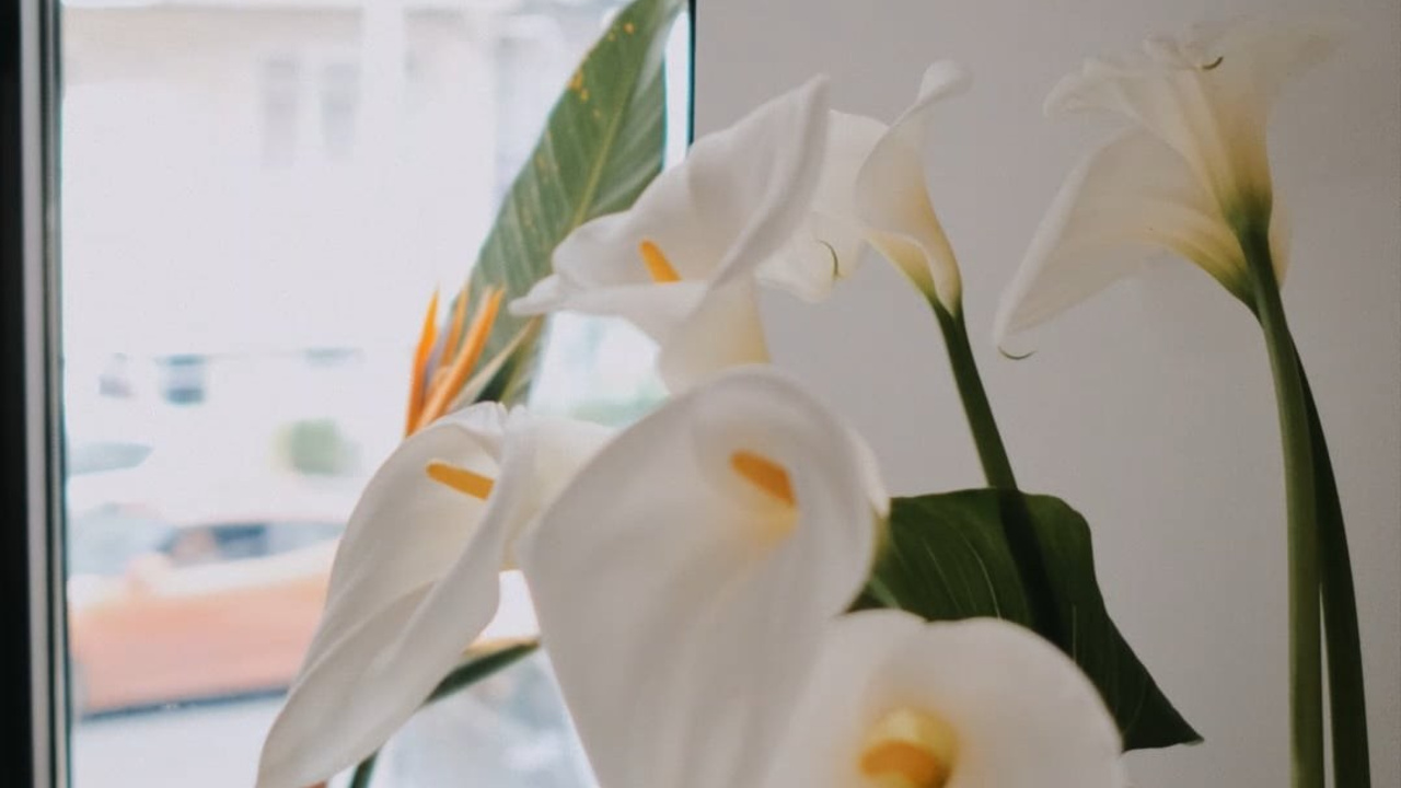 Мероприятия. Семейный и контент-видеограф в Тбилиси Чижикова Наталья