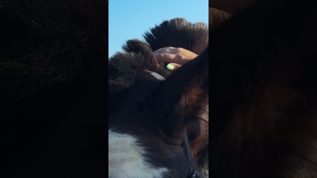 РАБОТЫ УЧЕНИКОВ. Видеограф Людмила Зайцева