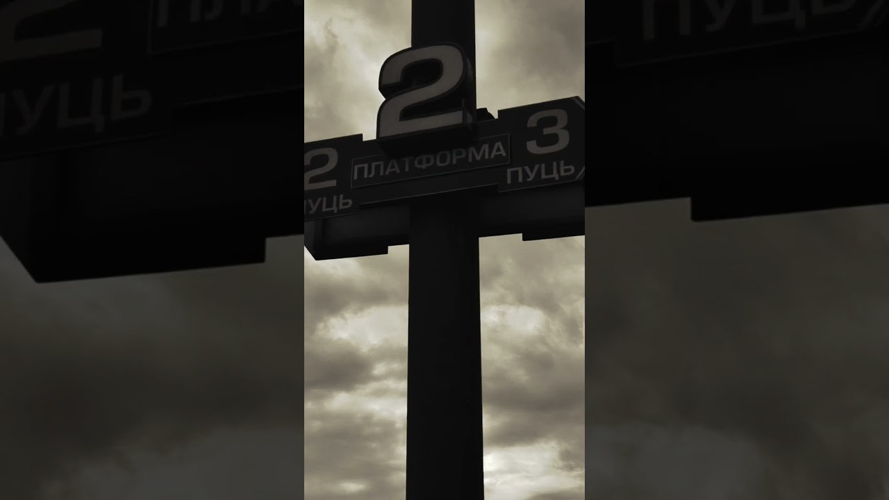 РАБОТЫ УЧЕНИКОВ. Видеограф Людмила Зайцева