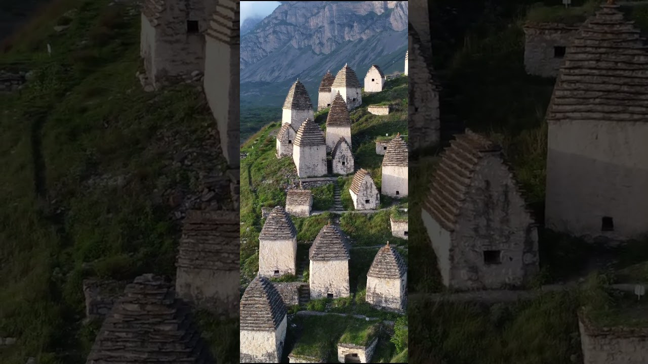 Видео про животных. Фотограф анималист в Москве Майорова Евгения