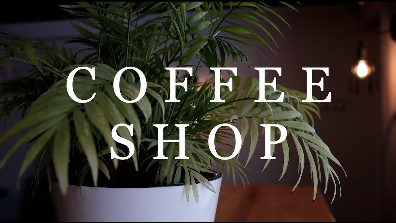 Короткометражные фильмы