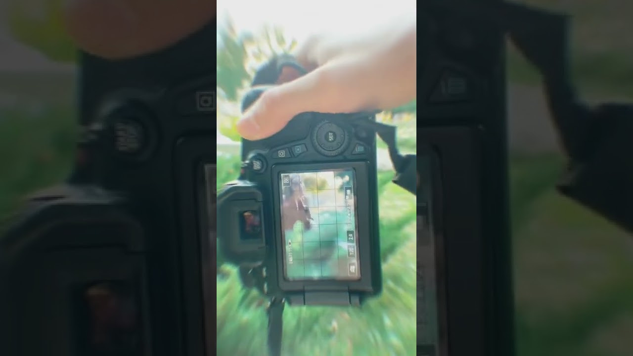 Видео. Фотограф и Видеограф в Москве Дарья Арсентьева