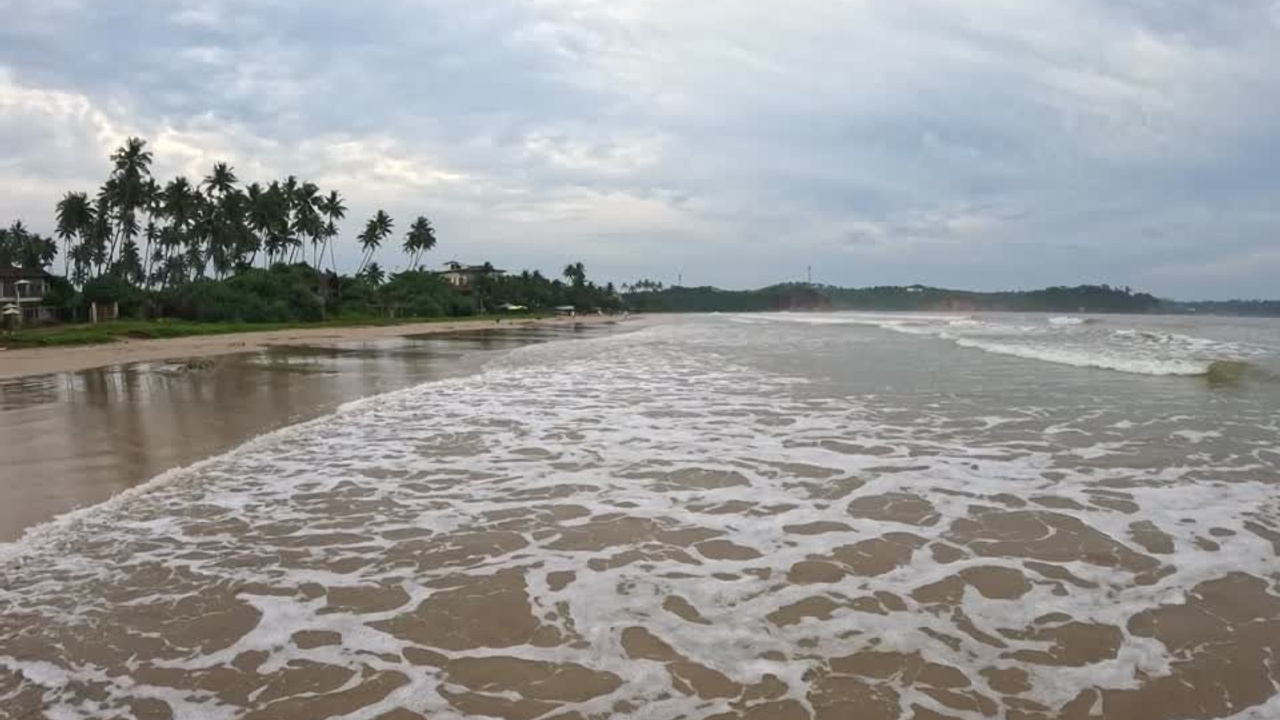 Шри-Ланка 2025 МАРТ. Ведущий на праздник в Москве / Денис Аганин