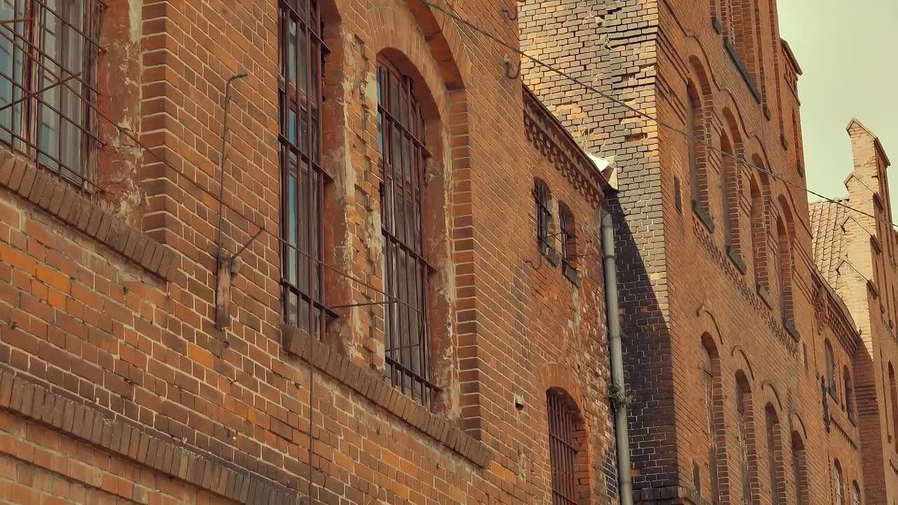 Travel видео. Фотограф/Видеограф Барнаул