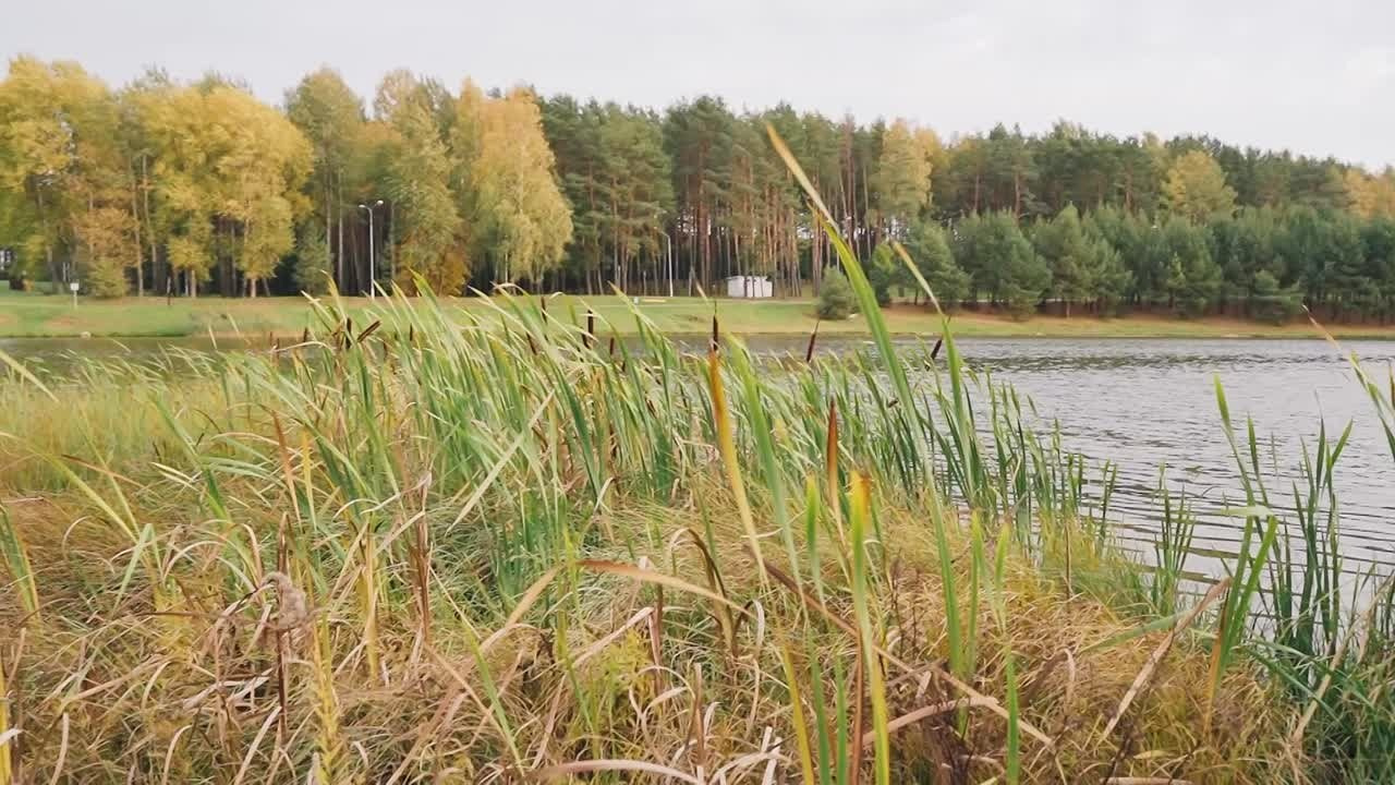 Для фотографа реклама школьных альбомов. Видеограф и фотограф в Москве Анастасия Рябчикова