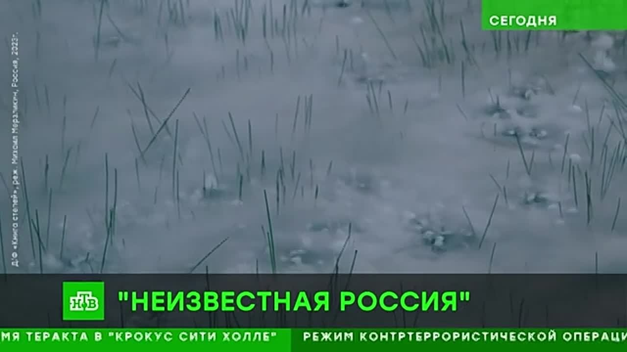 Документальный альманах «Книга степей», 2022 г. Центр развития кинопроизводства Республики Хакасия