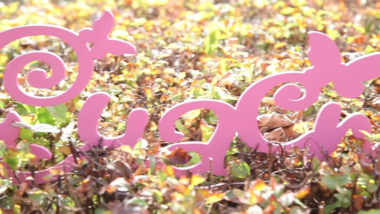 Видеосъемка свадеб. Свадебный фотограф и видео оператор в Москве и области