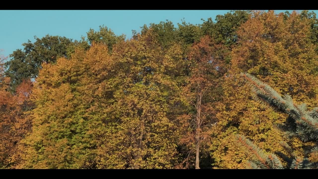 Портфолио. Сергей  — ваш семейный видеограф 8-917-720-90-30