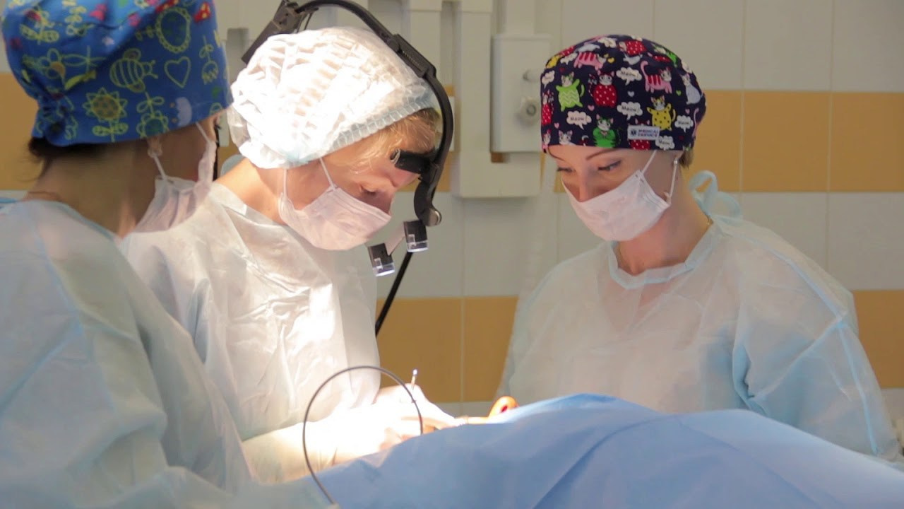 Бизнес, реклама. Фотограф и Видеограф Сочи Александра Озерова