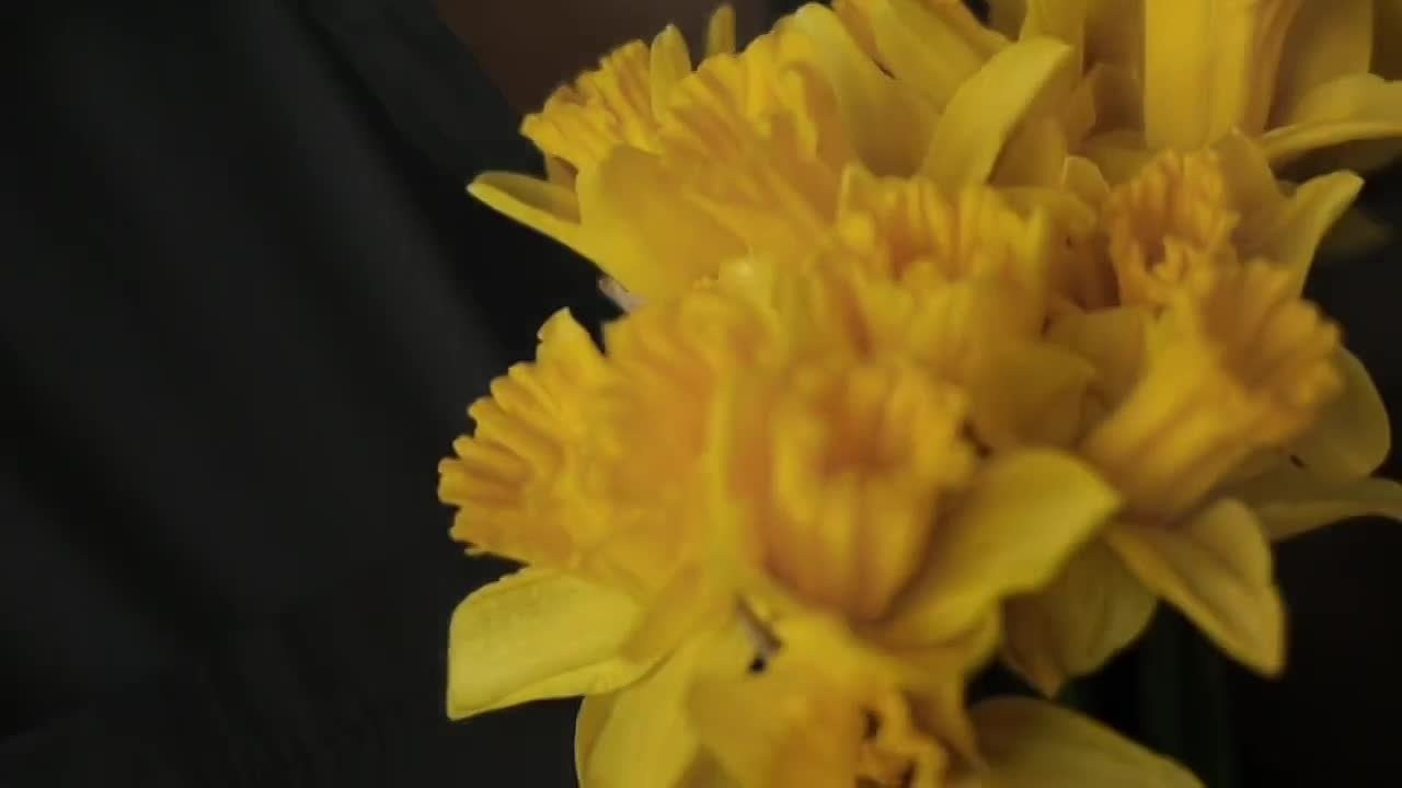 Видеопортрет 🎥. Фотограф в Новосибирске Краснова Евгения